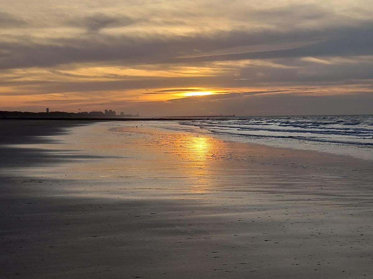 Caravan Aan Zee Arnani ميدل كيرك المظهر الخارجي الصورة