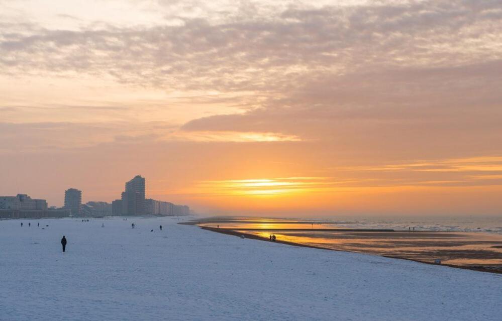 Caravan Aan Zee Arnani ميدل كيرك المظهر الخارجي الصورة