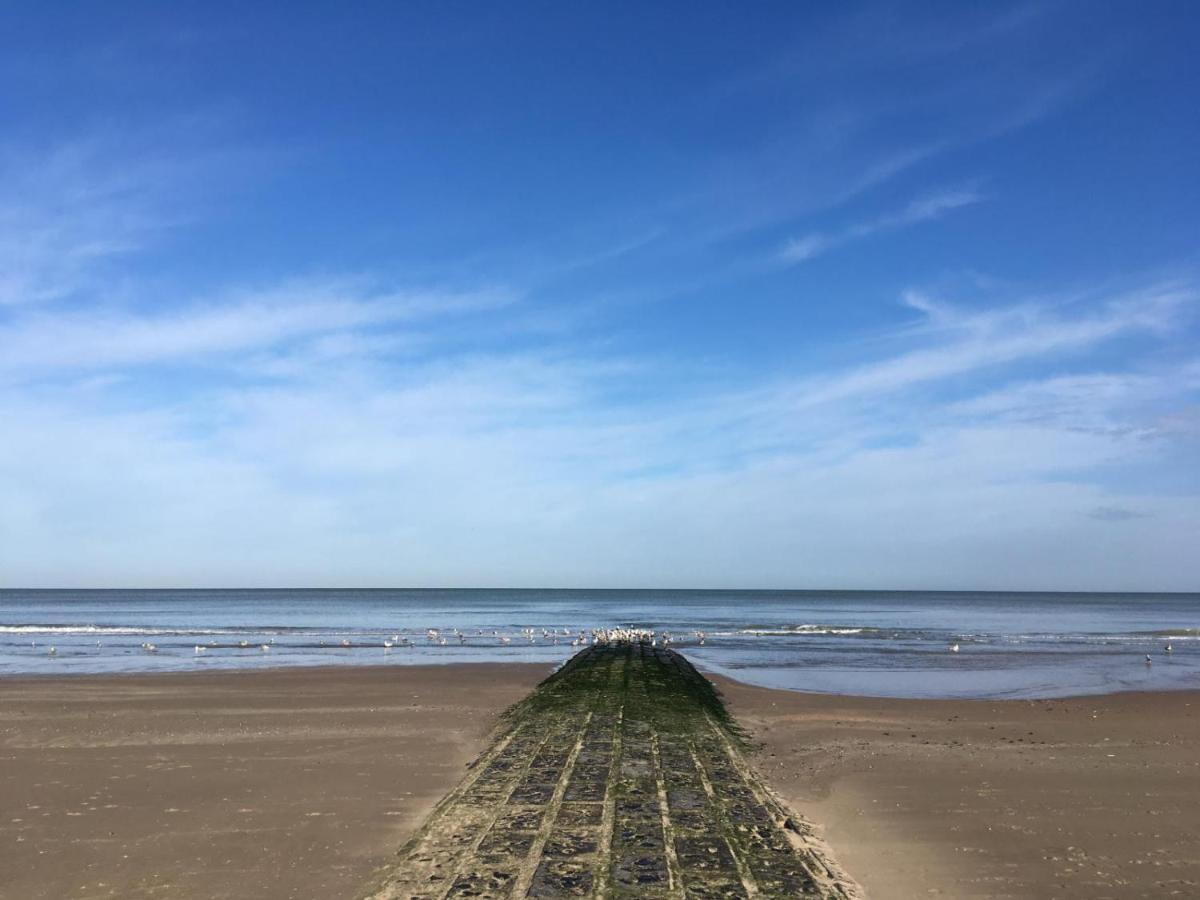 Caravan Aan Zee Arnani ميدل كيرك المظهر الخارجي الصورة